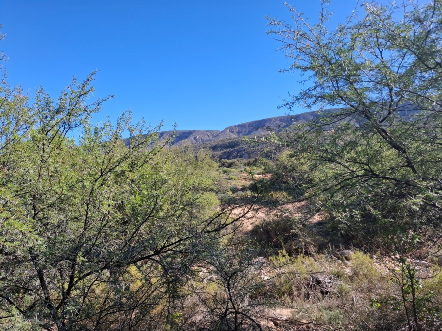  Bedroom Property for Sale in Ladismith Rural Western Cape